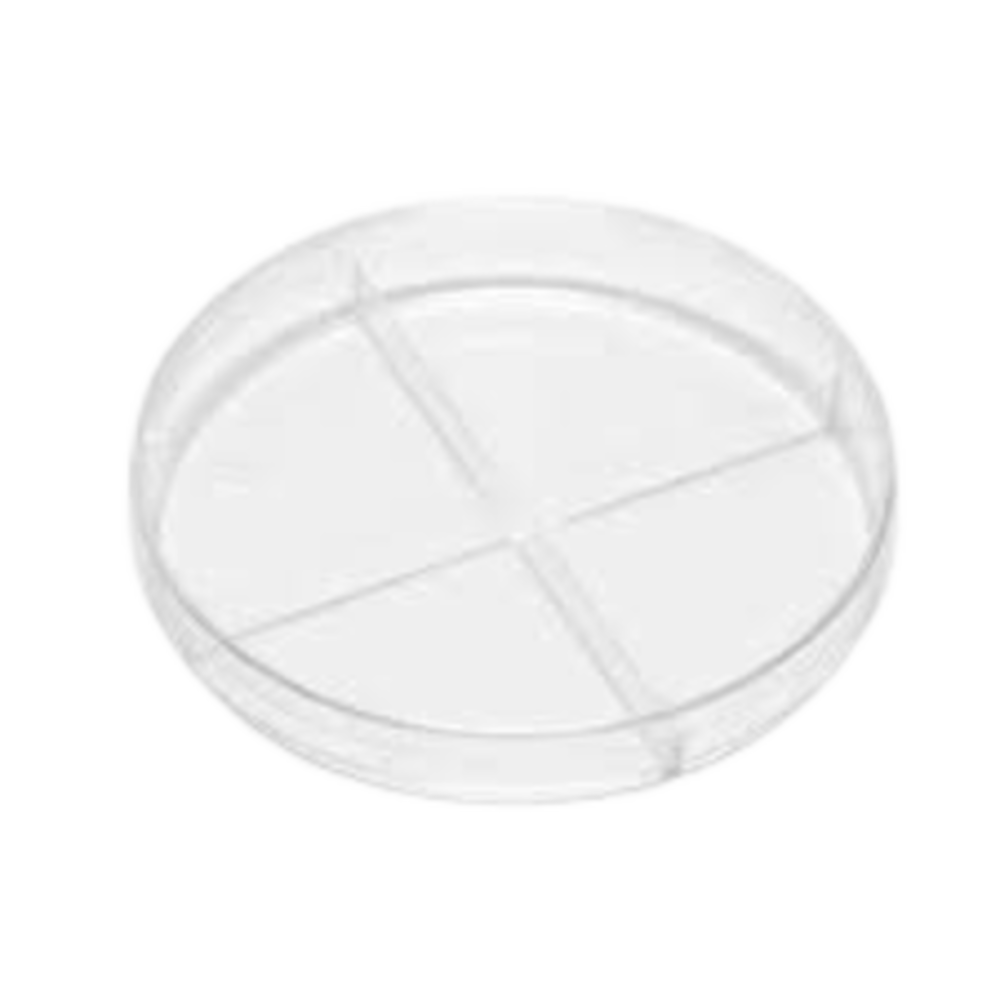 Placas-Petri-Cuatro-Divisiones